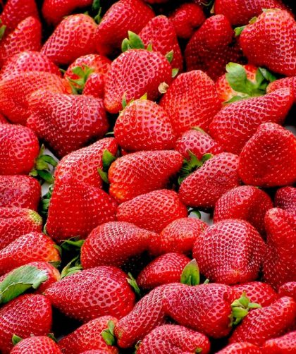 Fraises