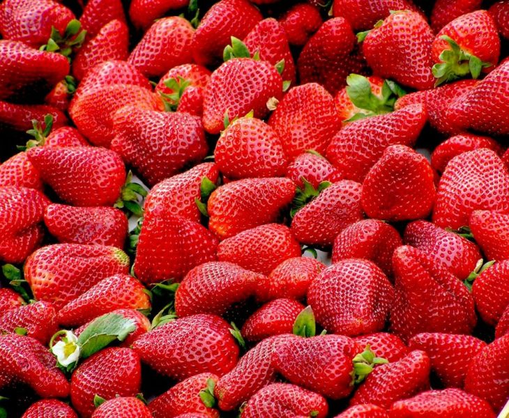 Fraises