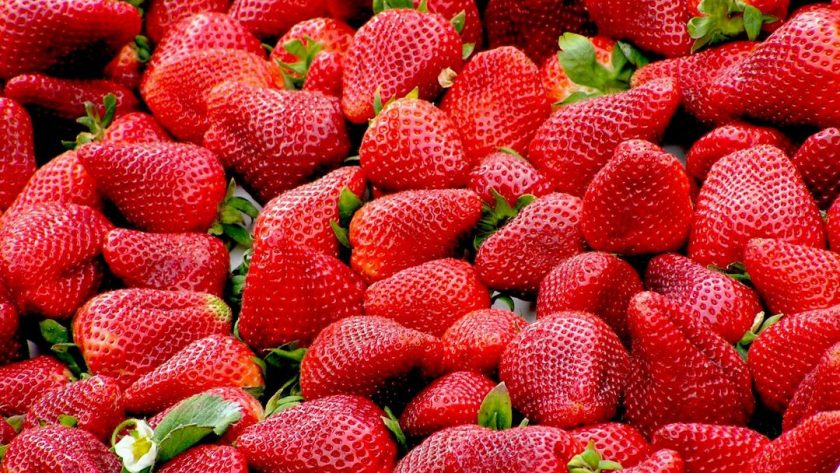 Fraises